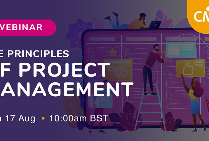 The Principles of Project Management