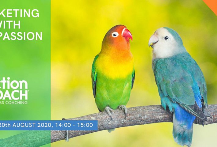 Marketing with Compassion Webinar