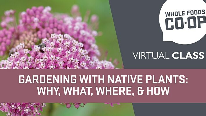 Gardening with Native Plants: Why, What, Where, and How