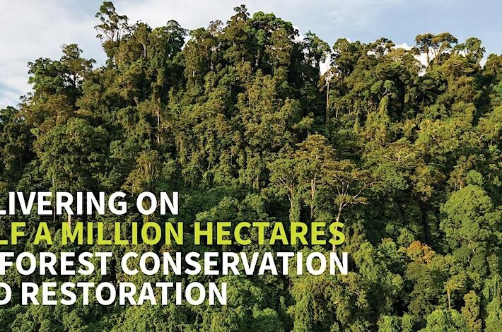 Delivering on Half a Million Hectares of Forest Conservation & Restoration