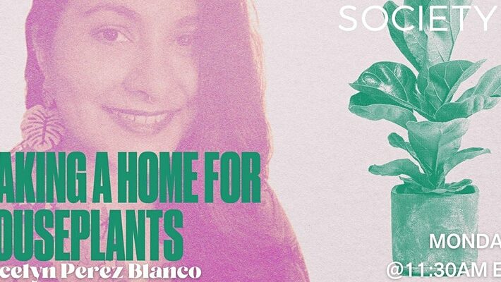 SocietyX: Making A Home For Houseplants