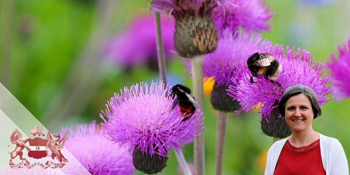 How to Bee-Friendly: The Best Plants for Bees and Other Pollinators