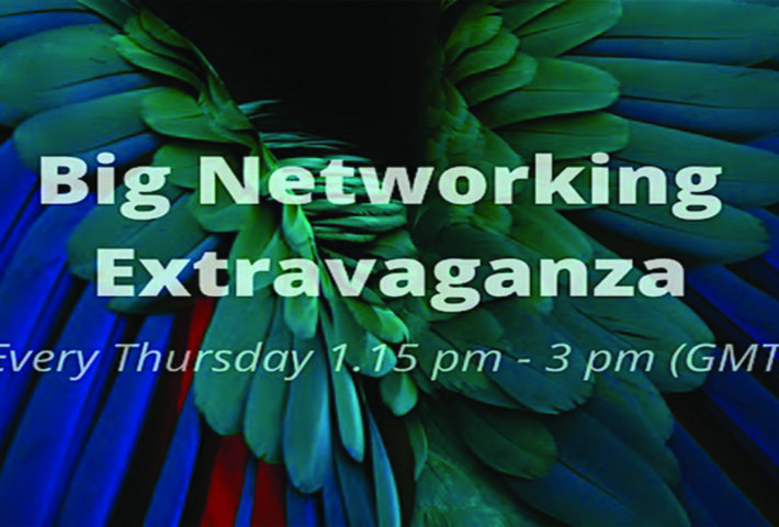 Online Networking with the Big Networking Extravaganza