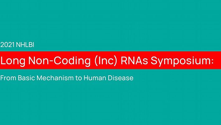 2021 NHLBI Long Non-coding (lnc) RNAs Virtual Symposium